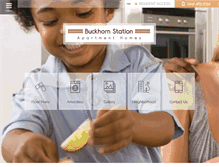 Tablet Screenshot of buckhornstation.com